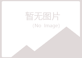 鹤岗盼山咨询有限公司